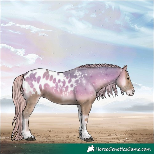 Horse Color:Watercolor Silver Blue Onyx Tobiano Blanket 