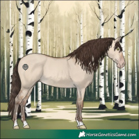 Horse Color:Amber Champagne Dun