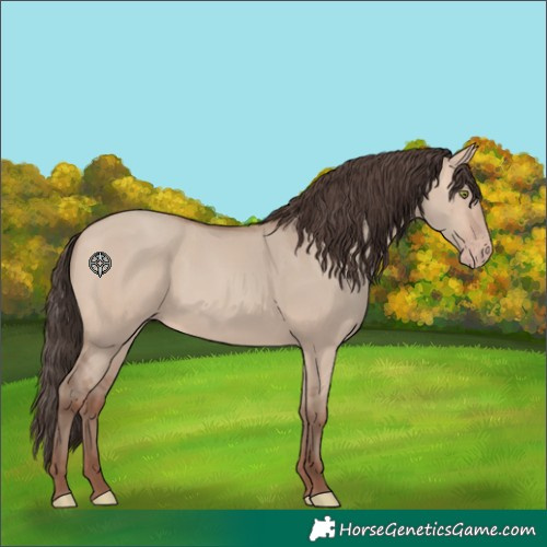Horse Color:Sable Champagne Dun 