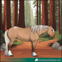 Horse Color:Silver Bay Dun Tobiano 