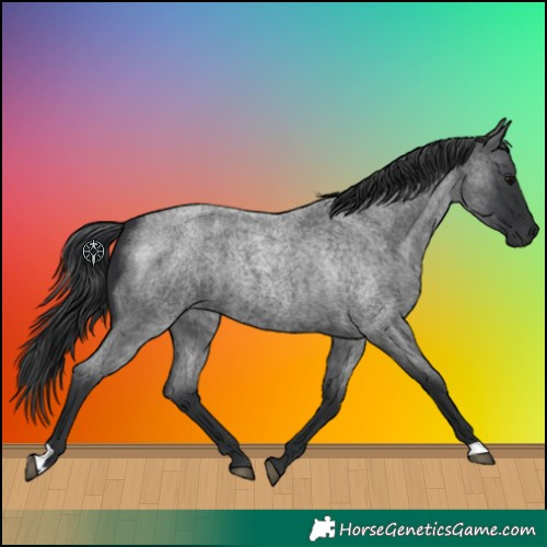 Horse Color:Blue Roan