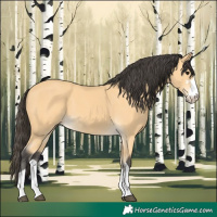 Horse Color:Buckskin 