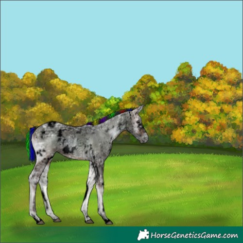 Horse Color:Void Painted White Spotted Bay Ice Onyx