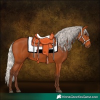 Horse Color:Silver Bay 
