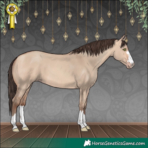Horse Color:Amber Champagne Dun 
