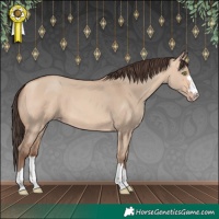 Horse Color:Amber Champagne Dun 