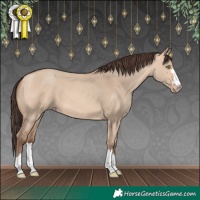 Horse Color:Amber Champagne Dun 