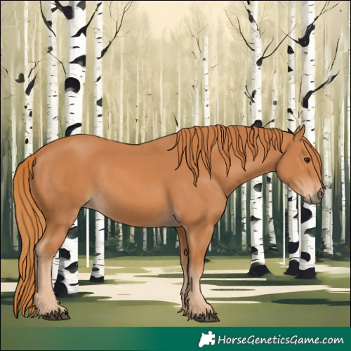 Horse Color:Chestnut 