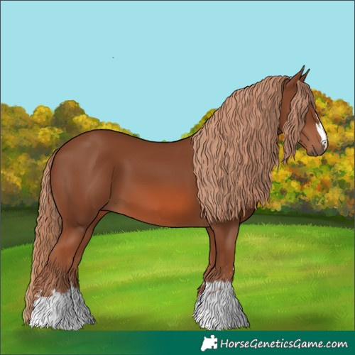 Horse Color:Chestnut 