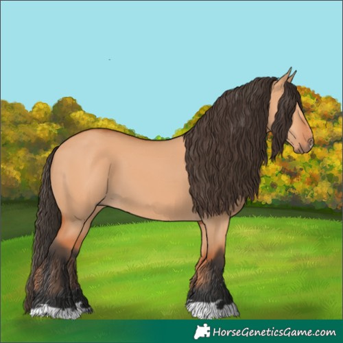 Horse Color:Bay Dun 