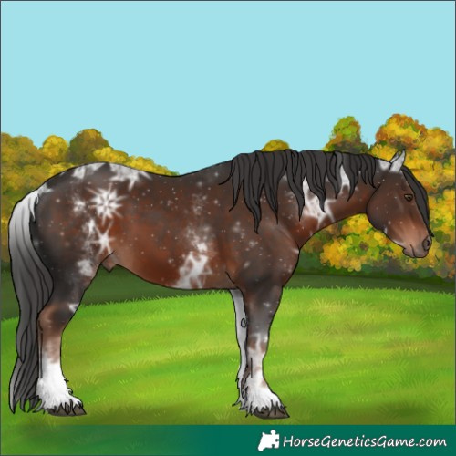 Horse Color:White Spotted Liver Chestnut Ice 