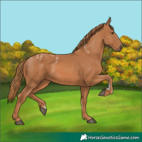 Horse Color:Powder White Chestnut 