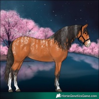 Horse Color:Powder White Bay 