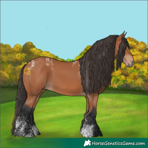 Horse Color:Powder White Bay 