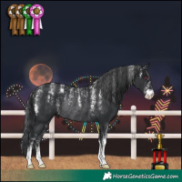 Horse Color:Powder White Black Rabicano 