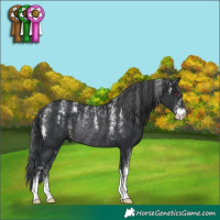 Horse Color:Powder White Black Rabicano 