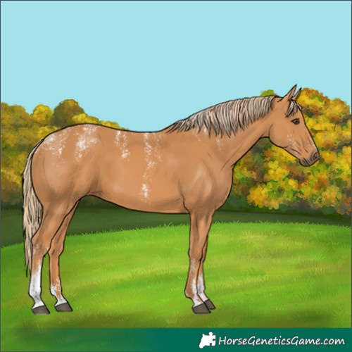 Horse Color:Powder White Chestnut 