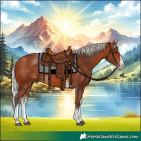 Horse Color:White Spotted Silver Bay Splash 