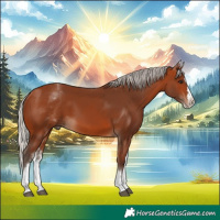 Horse Color:White Spotted Silver Bay Splash 