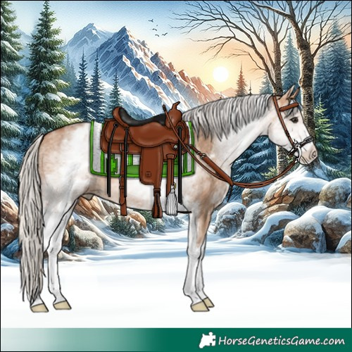 Horse Color:White Spotted Silver Bay Dun