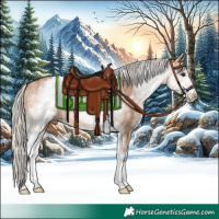 Horse Color:White Spotted Silver Bay Dun