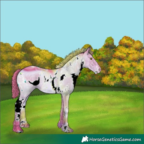 Horse Color:ERROR: UNKNOWN ANOMALY