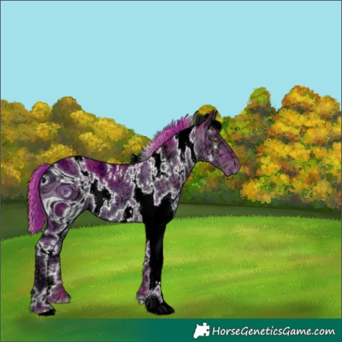 Horse Color:ERROR: UNKNOWN ANOMALY