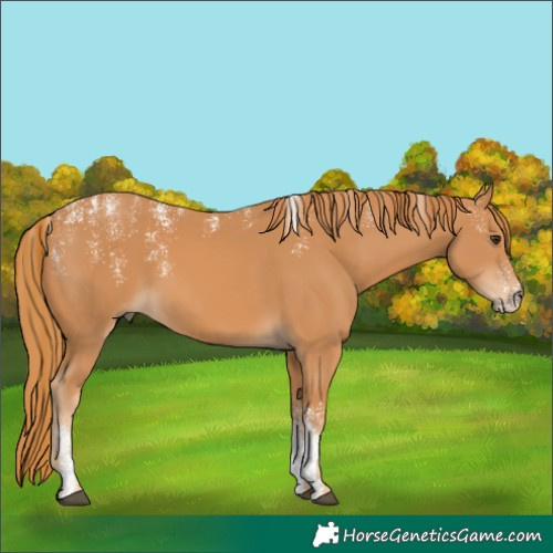 Horse Color:Powder White Chestnut 