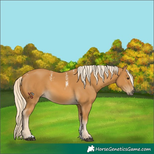 Horse Color:Powder White Palomino 