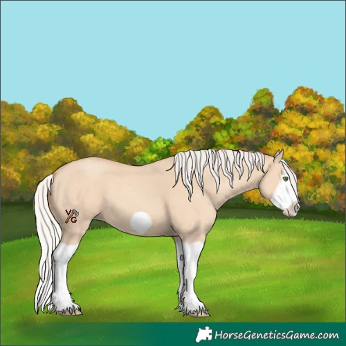 Horse Color:Silver Classic Champagne Dun Splash Frame