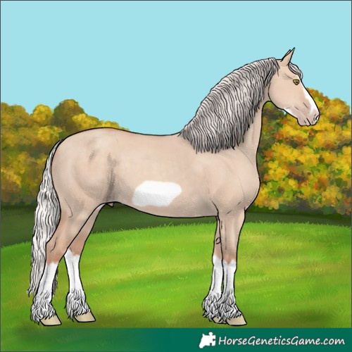 Horse Color:Silver Classic Champagne Dun Splash Frame