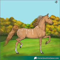 Horse Color:Powder White Chestnut