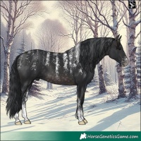 Horse Color:Powder White Platinum Brown