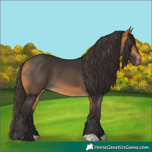 Horse Color:Buckskin 