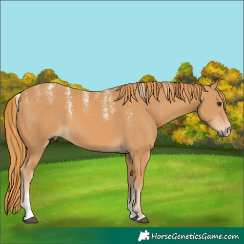 Horse Color:Powder White Chestnut