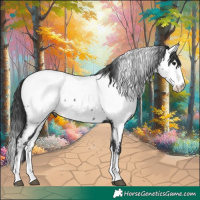 Horse Color:Black Sabino Splash Appaloosa