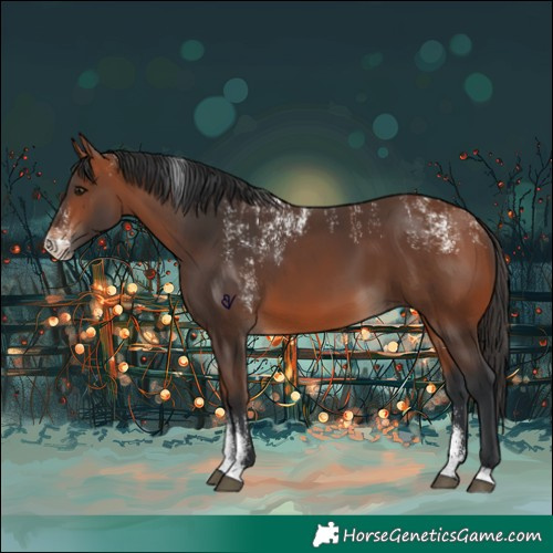 Horse Color:Powder White Bay 