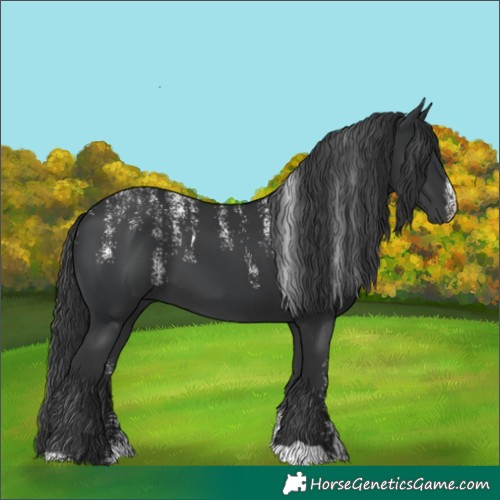 Horse Color:Powder White Black 