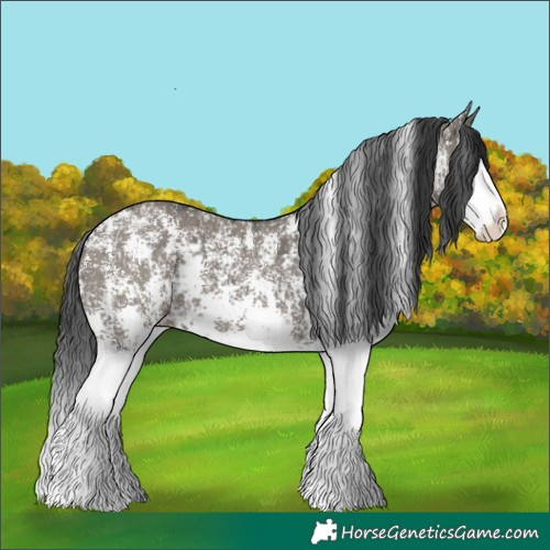 Horse Color:Grullo Sabino Splash  and Grullo Sabino Splash 
