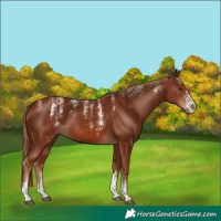 Horse Color:Powder White Chestnut