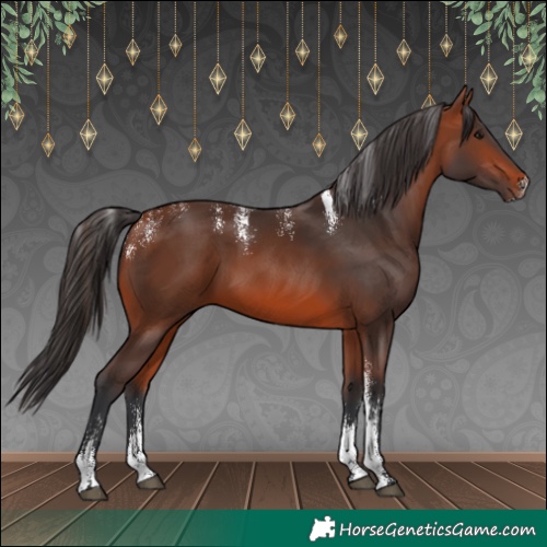 Horse Color:Powder White Bay 