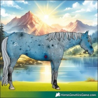 Horse Color:ERROR: UNKNOWN ANOMALY