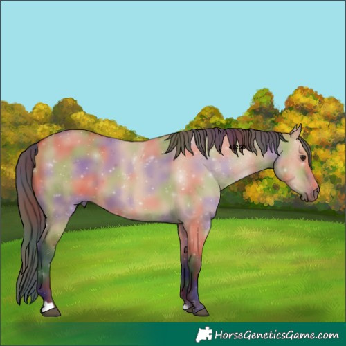 Horse Color:Nacre Bay Dun 