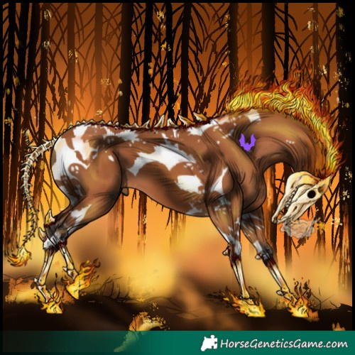 Horse Color:Bay Tobiano 