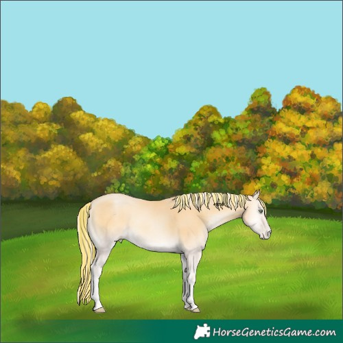 Horse Color:Void Painted Palomino Pearl Onyx 