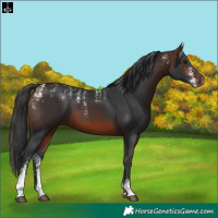 Horse Color:Powder White Brown 
