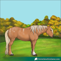 Horse Color:Powder White Chestnut 