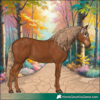 Horse Color:Gray Chestnut 