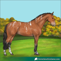 Horse Color:Powder White Bay 