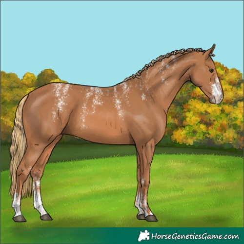 Horse Color:Powder White Chestnut 